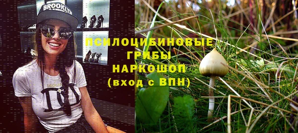 метадон Вяземский