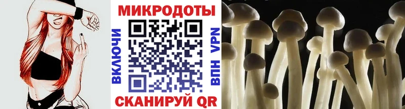 Купить где  Лангепас  Псилоцибиновые грибы мухоморы 